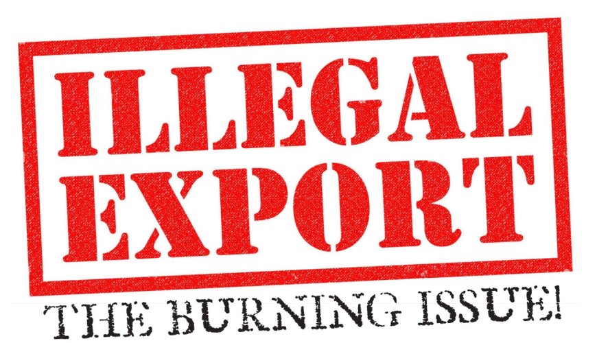 ILLEGAL EXPORTS - THE BURNING ISSUE!